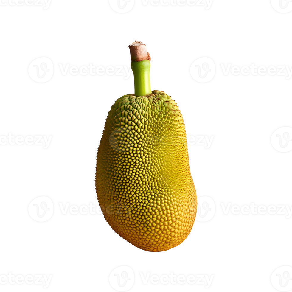 Jackfruit isolated on transparent background png