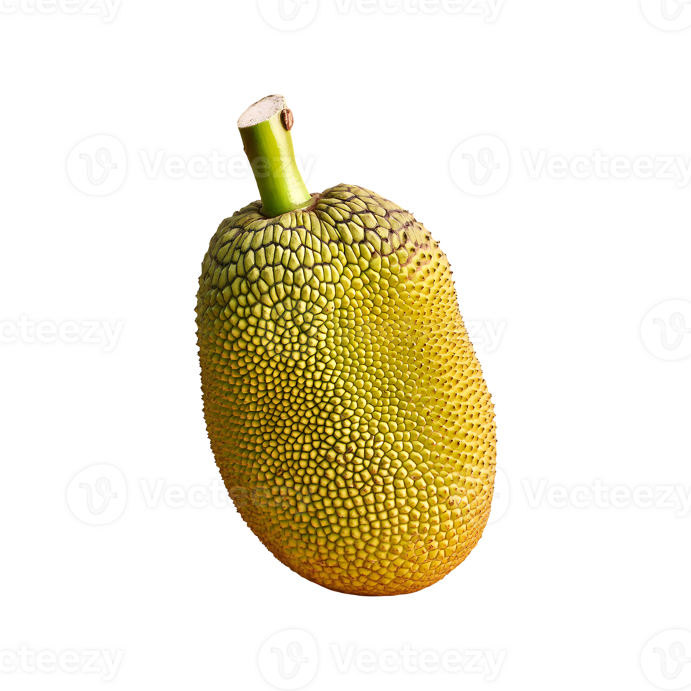 Jackfruit isolated on transparent background png