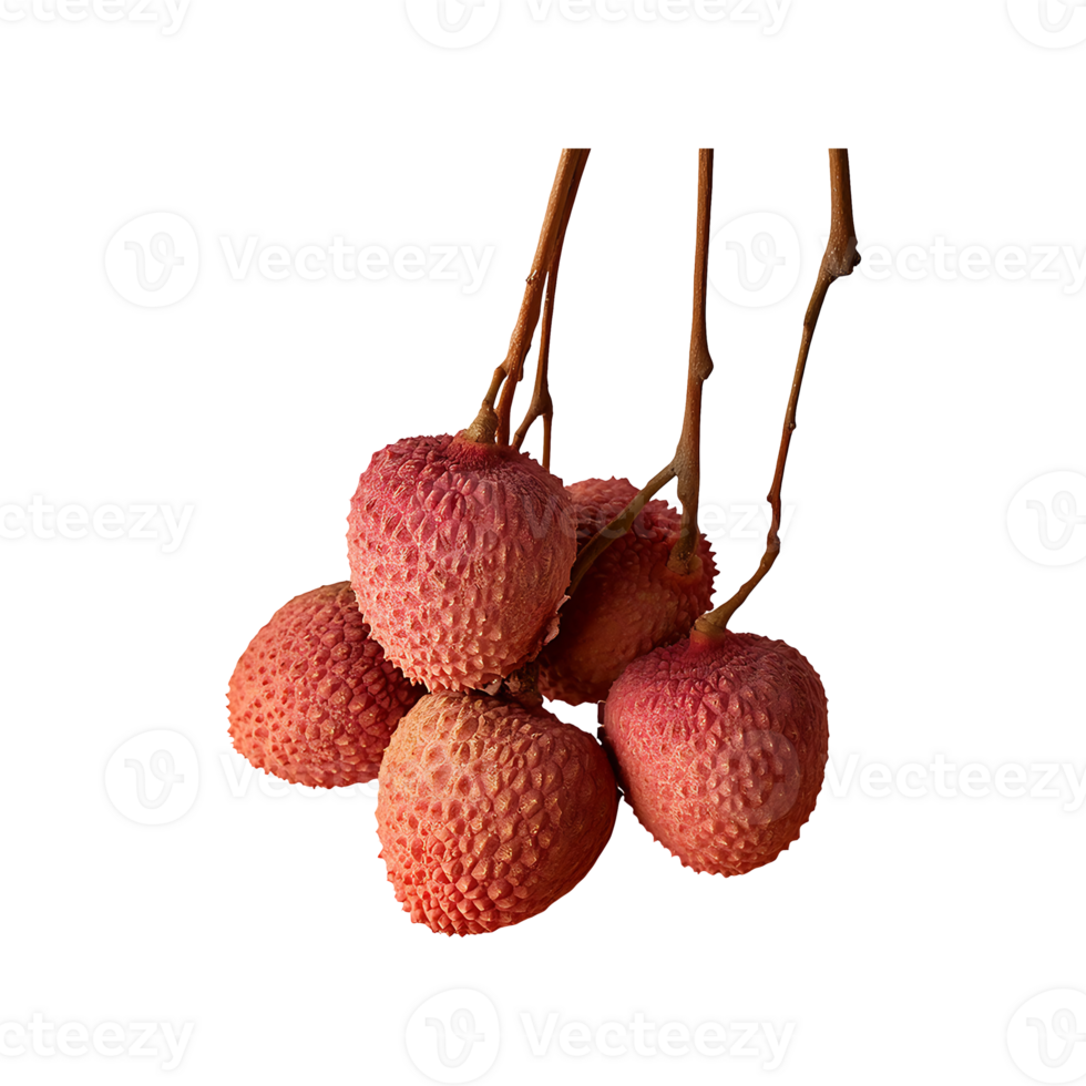 Lychee isolated on transparent background png