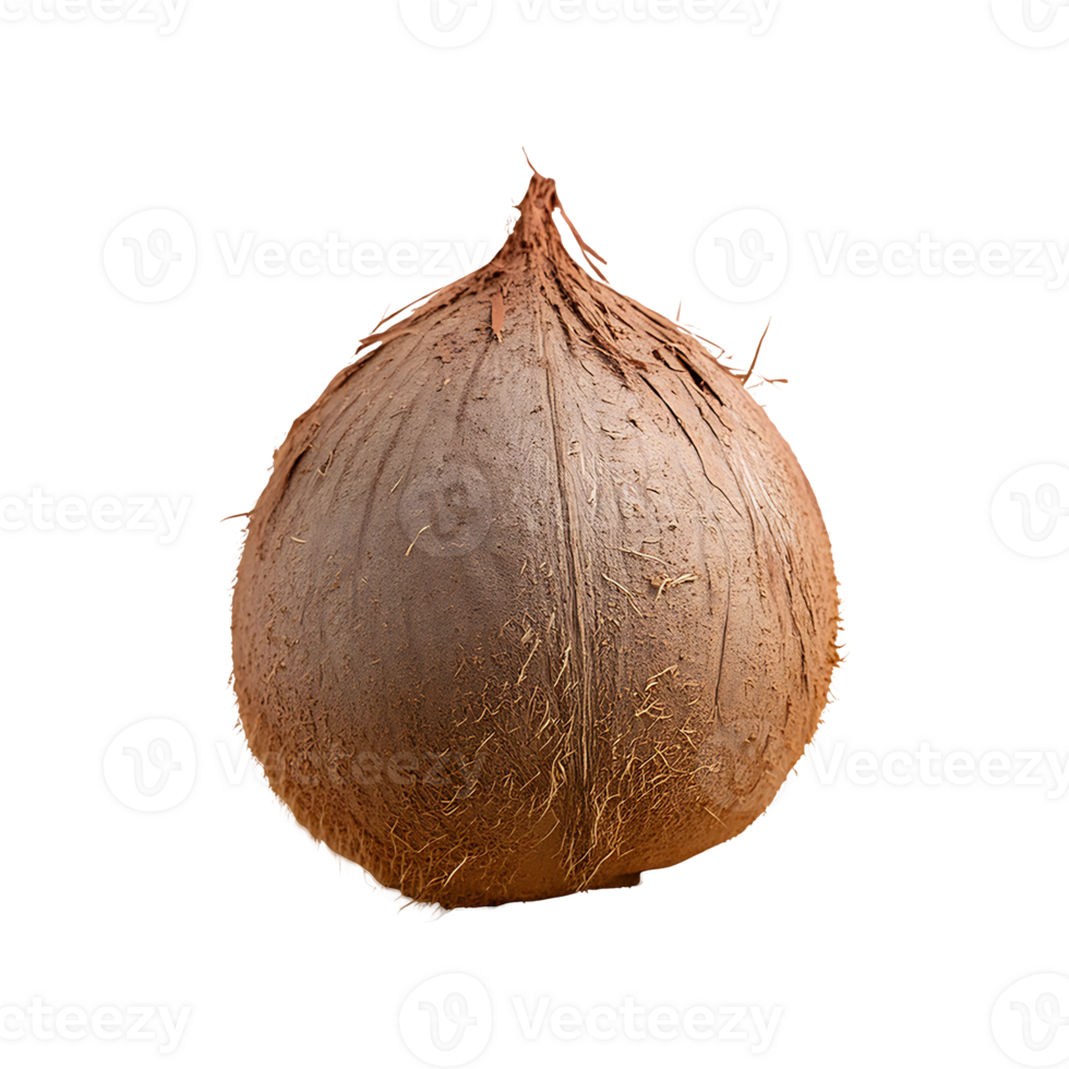 Lucuma isolated on transparent background png
