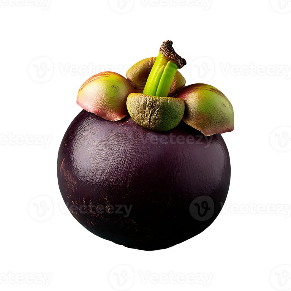 Mangosteen isolated on transparent background png
