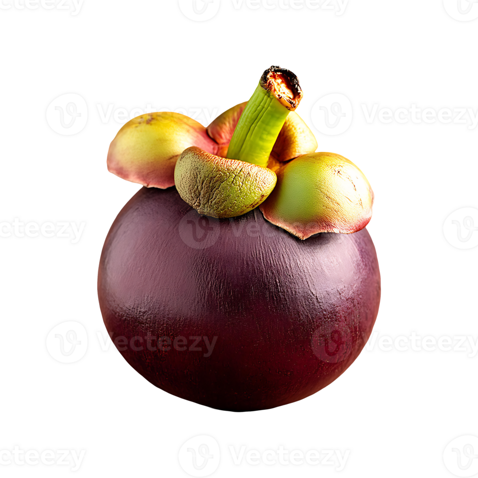 Mangosteen isolated on transparent background png