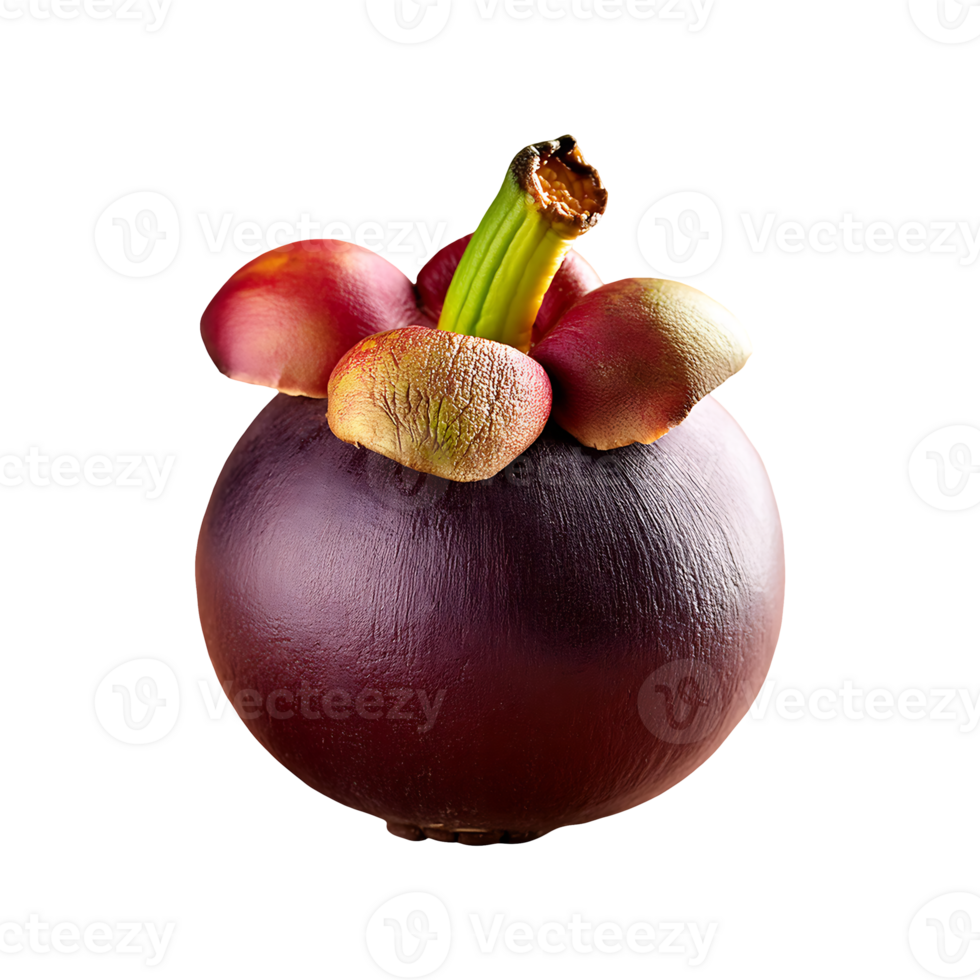 Mangosteen isolated on transparent background png