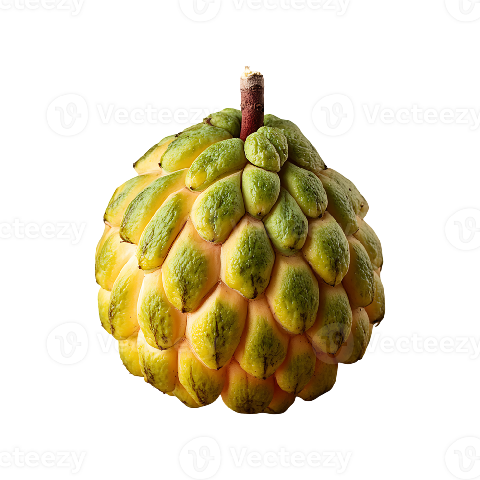Miracle Fruit isolated on transparent background png