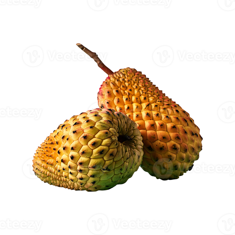 Miracle Fruit isolated on transparent background png