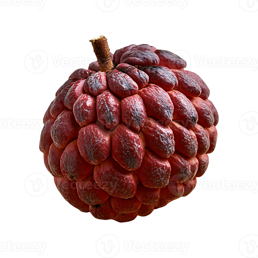 Miracle Fruit isolated on transparent background png