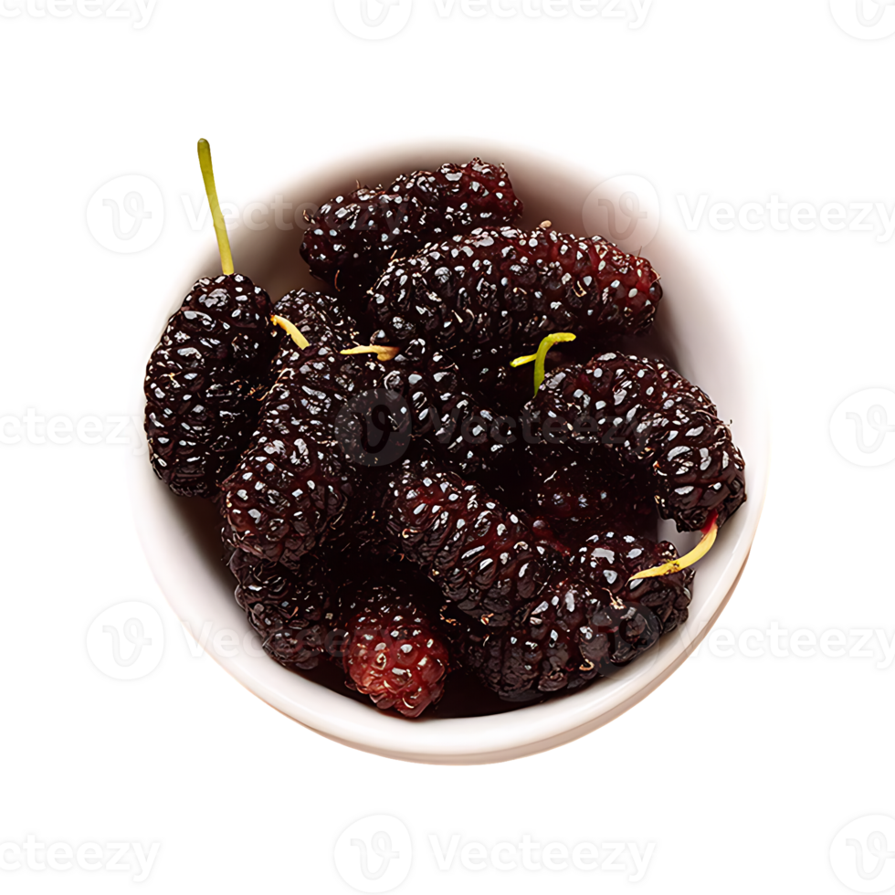 Mulberry isolated on transparent background png