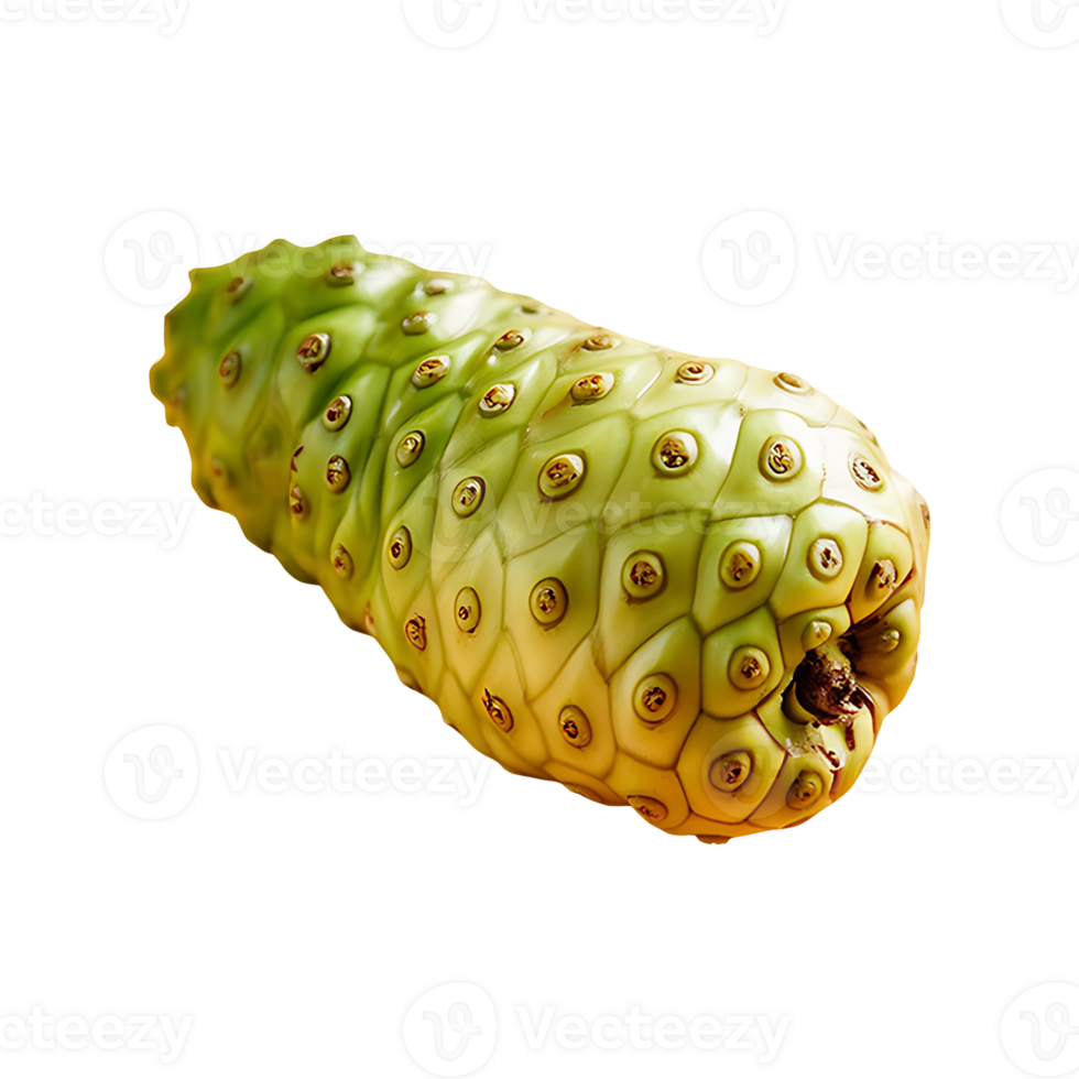 Noni fruit isolated on transparent background png