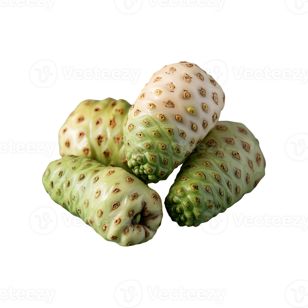 Noni fruit isolated on transparent background png