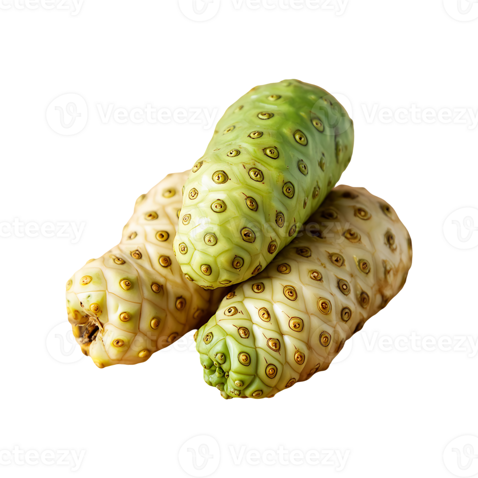 Noni fruit isolated on transparent background png