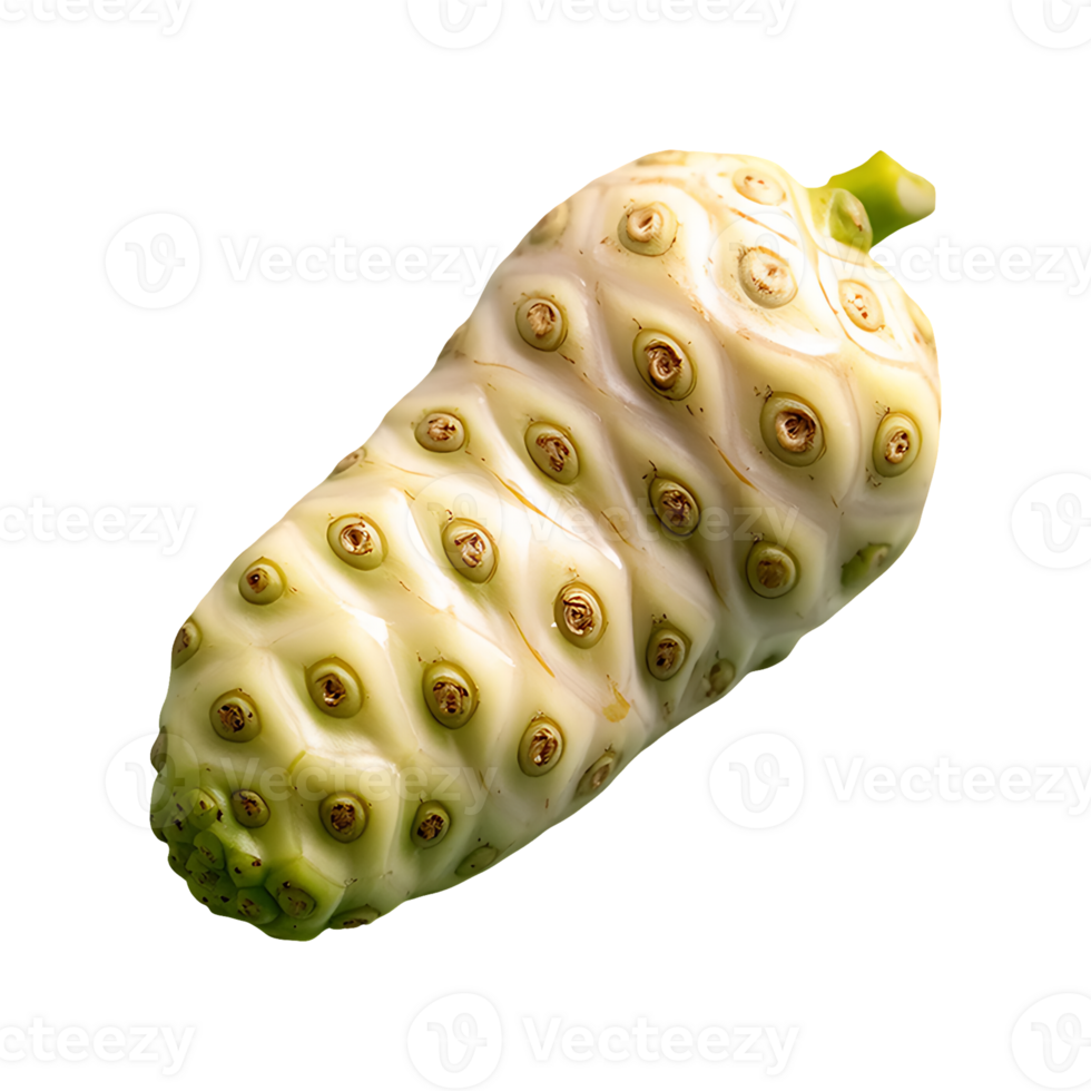 Noni fruit isolated on transparent background png