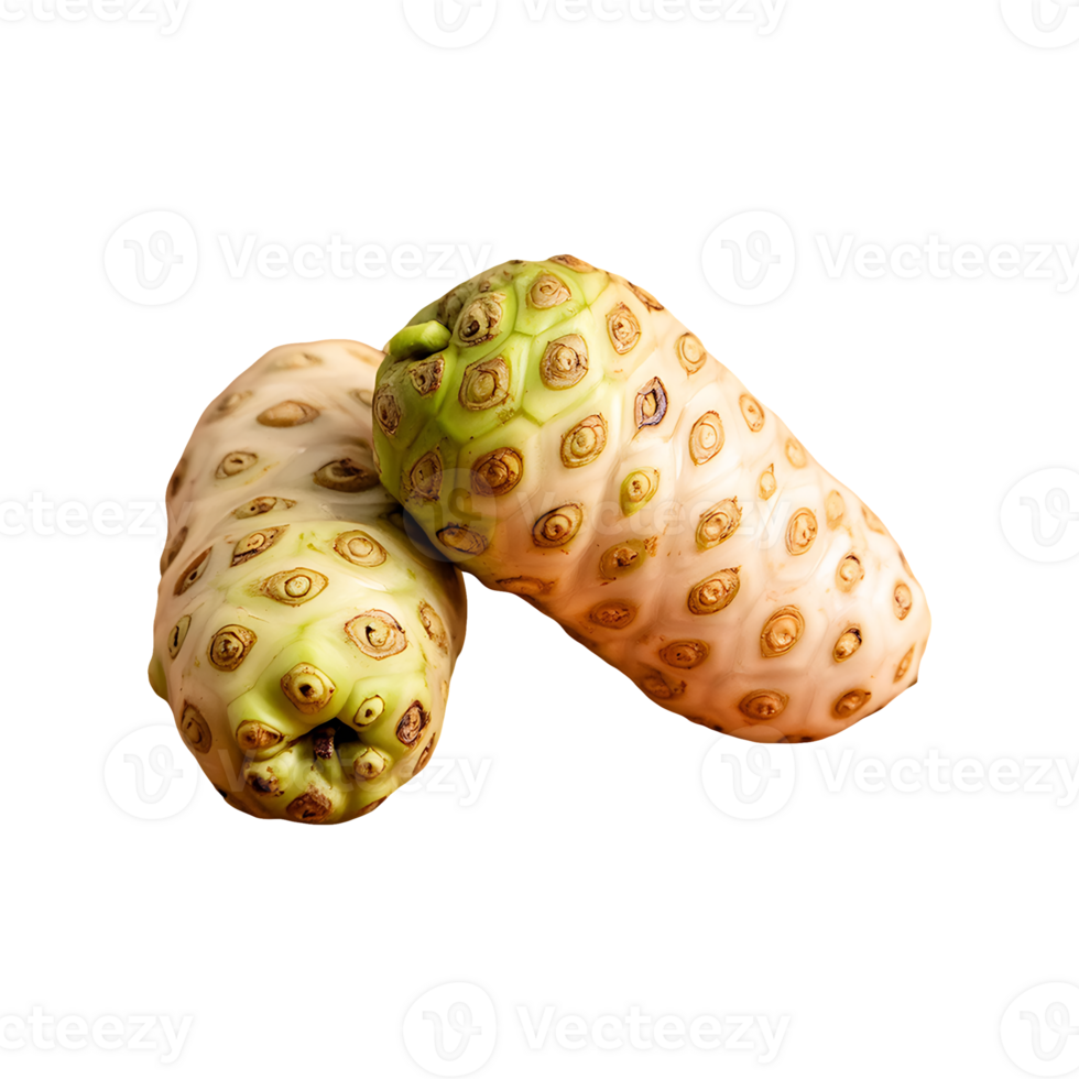 Noni fruit isolated on transparent background png
