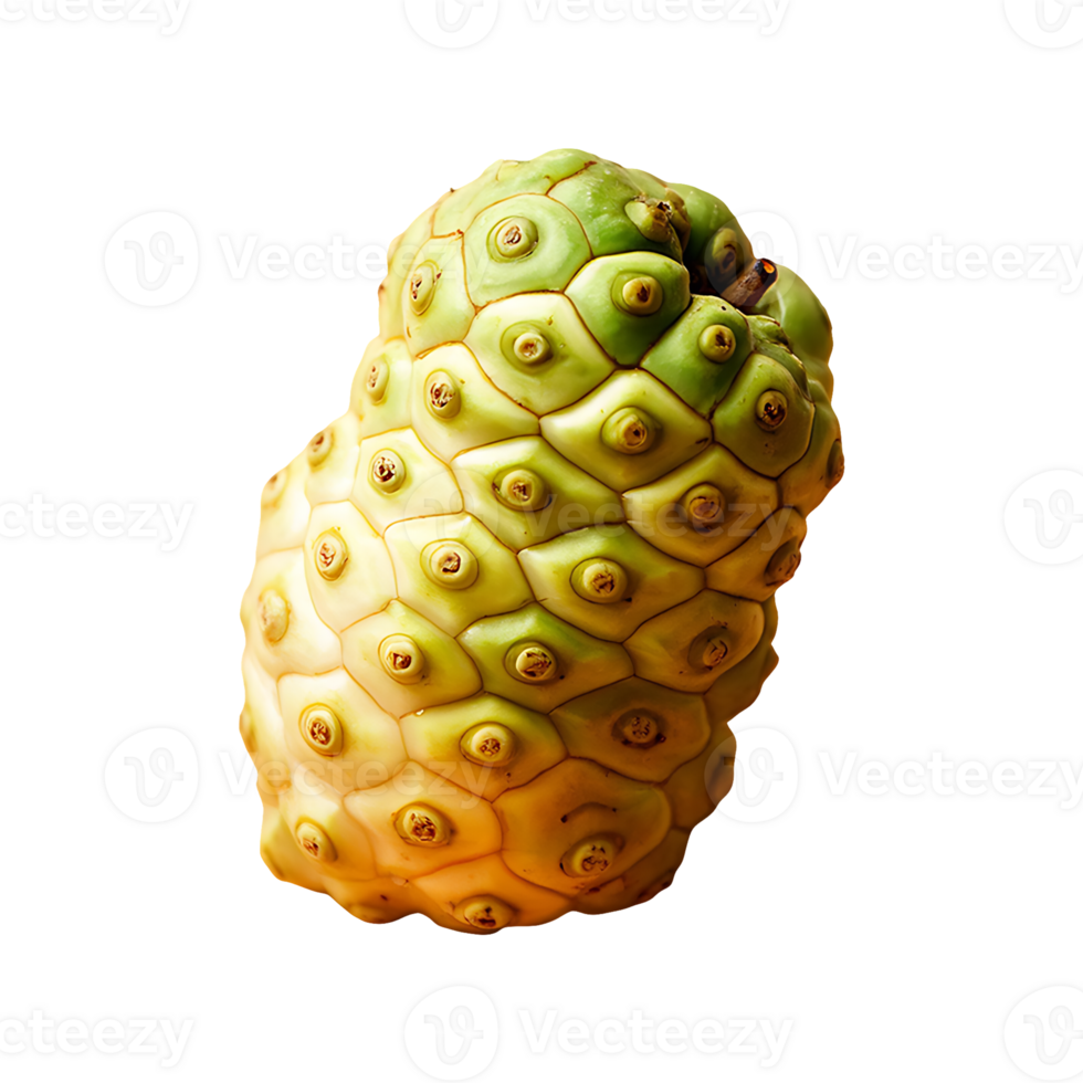 Noni fruit isolated on transparent background png