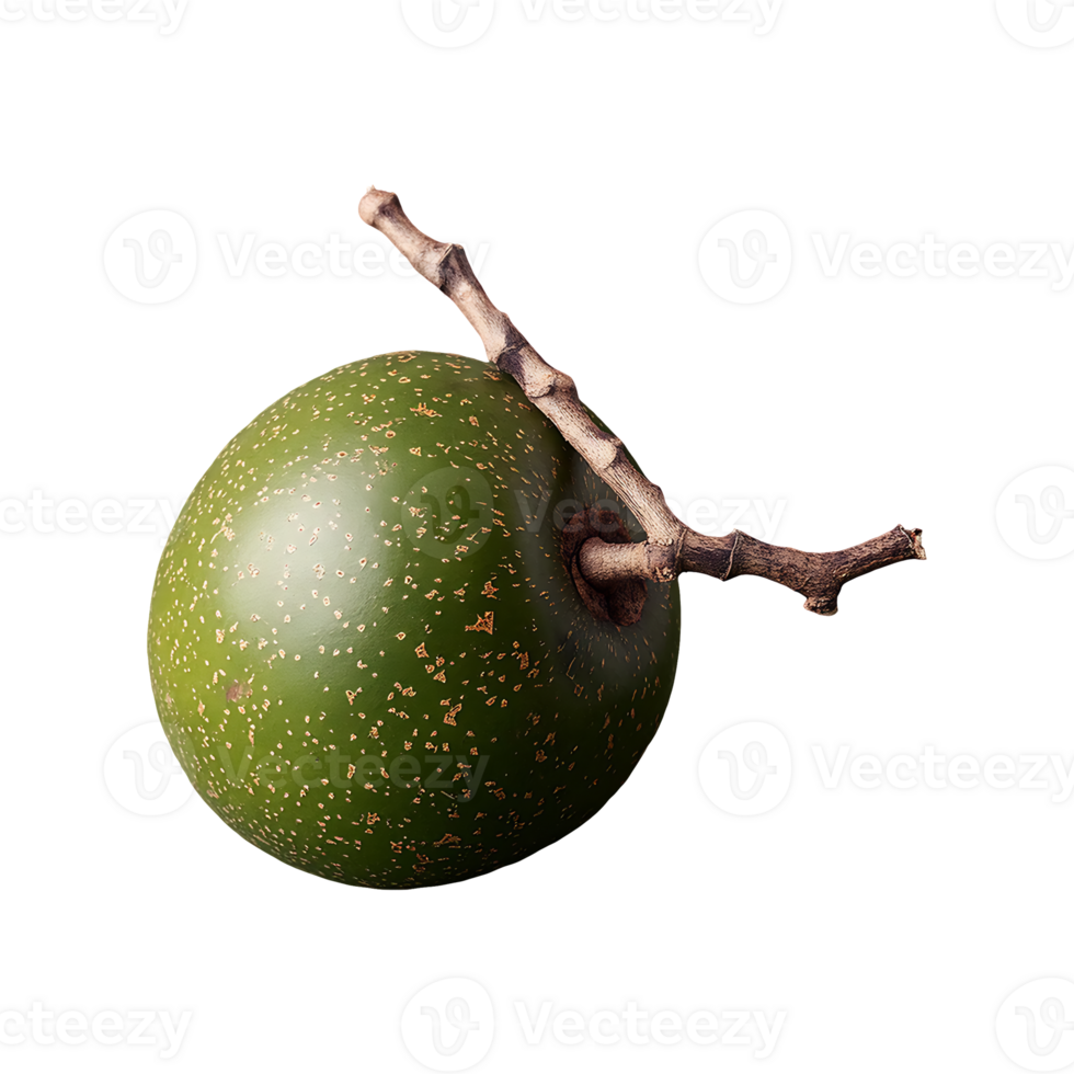 Ambarella fruit isolated on transparent background png