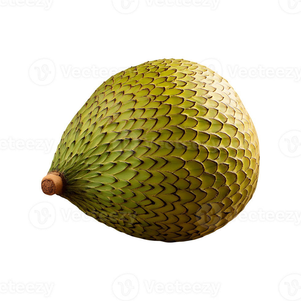 Babaco fruit isolated on transparent background png