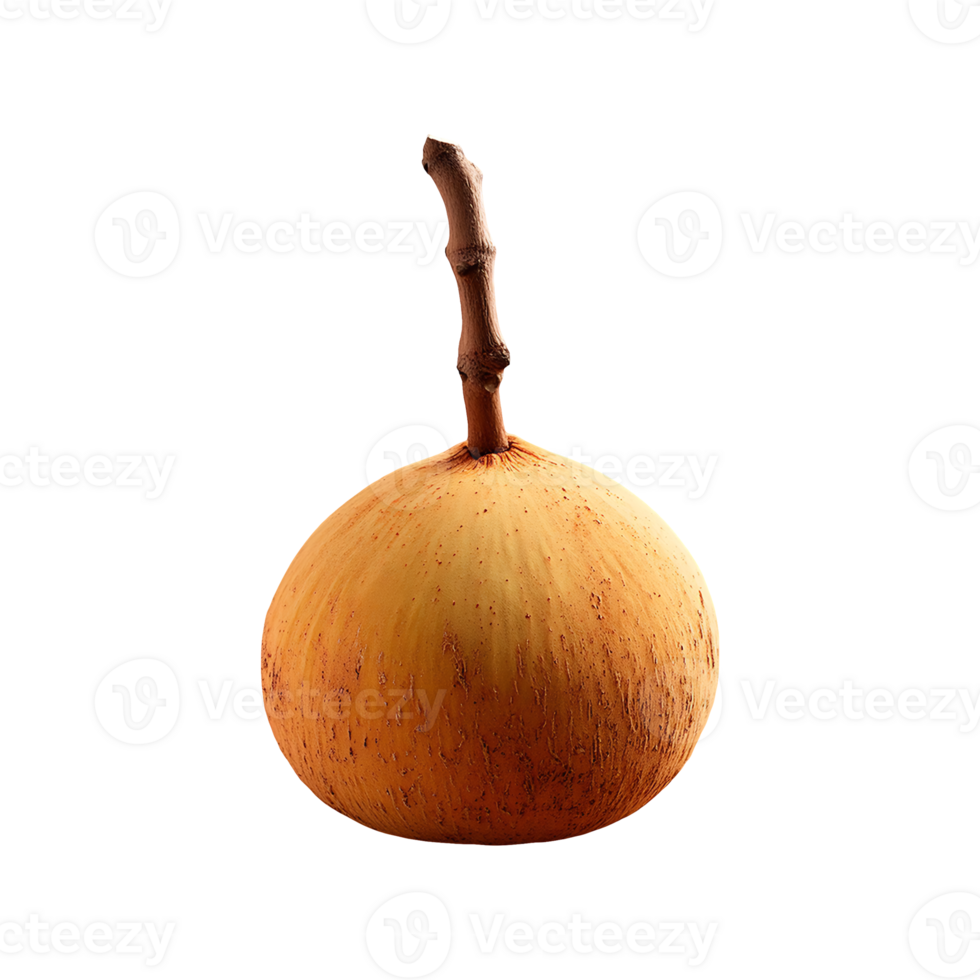 Santol isolated on transparent background png