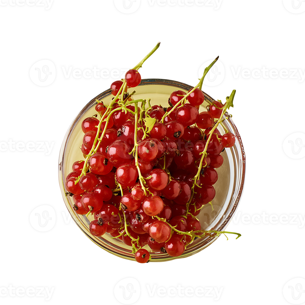 Redcurrant isolated on transparent background png
