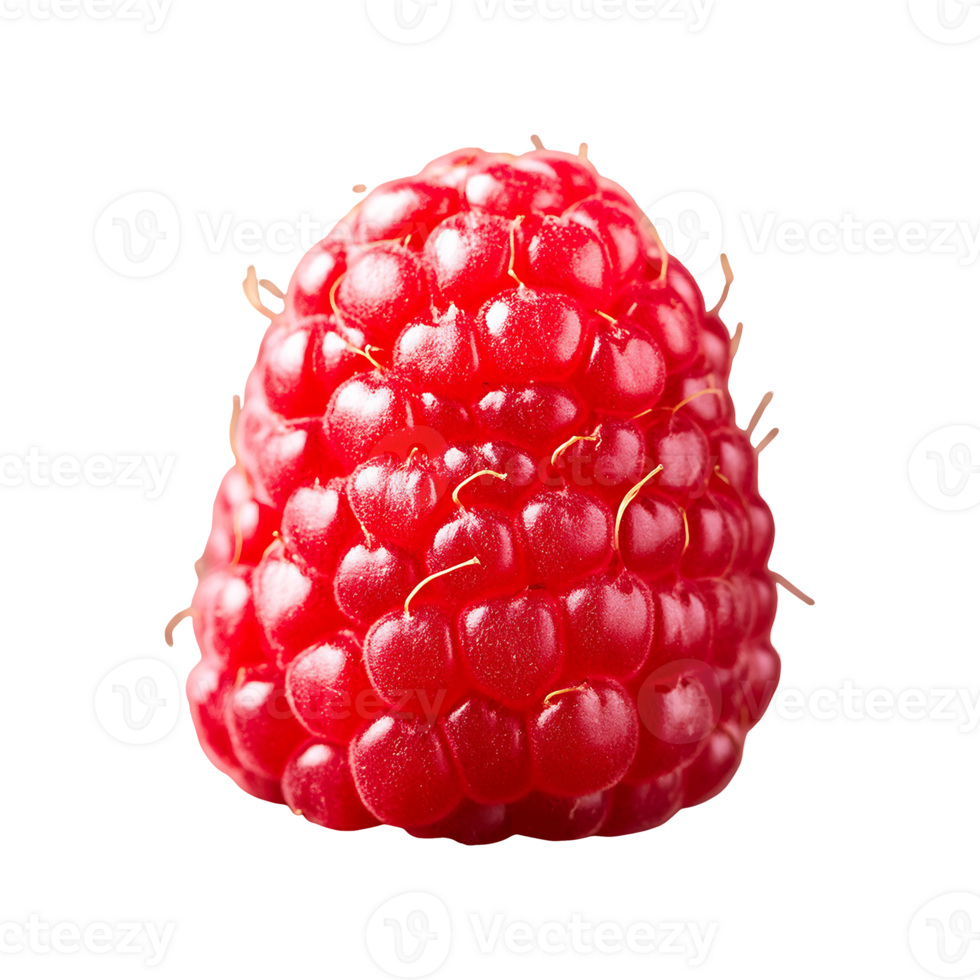 Raspberry isolated on transparent background png