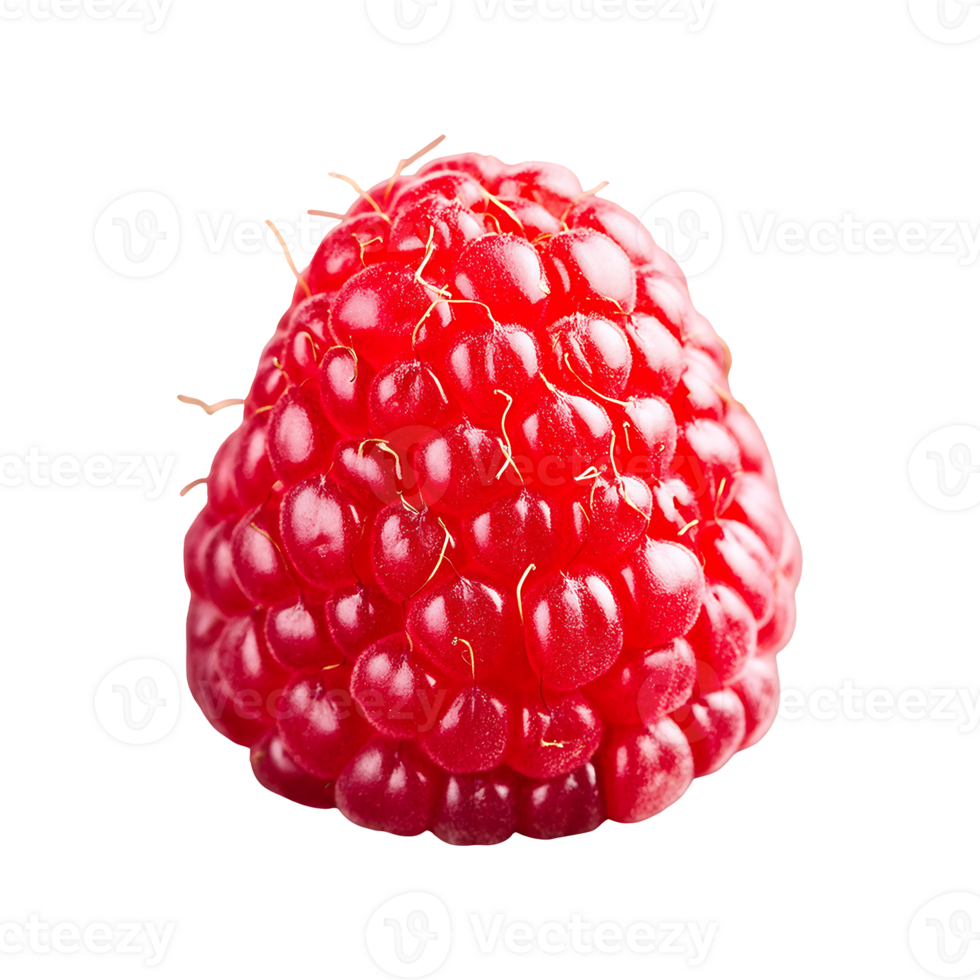 Raspberry isolated on transparent background png