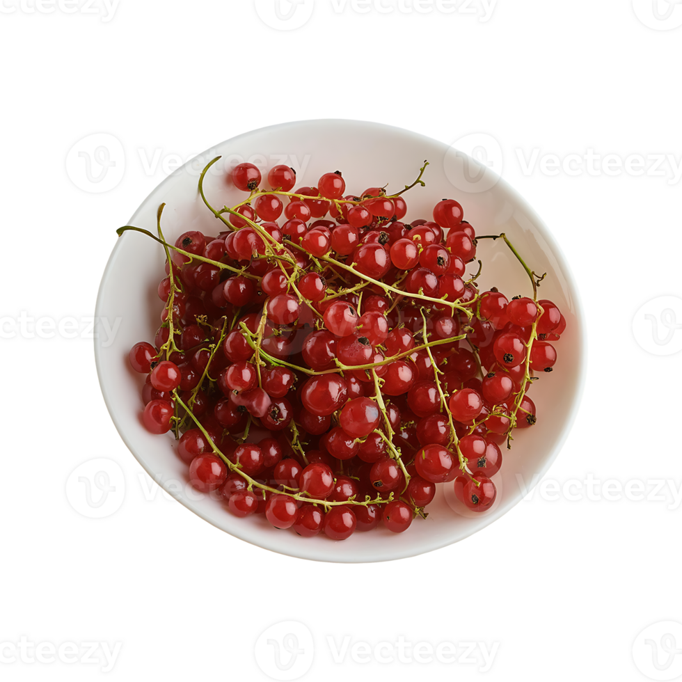 Redcurrant isolated on transparent background png