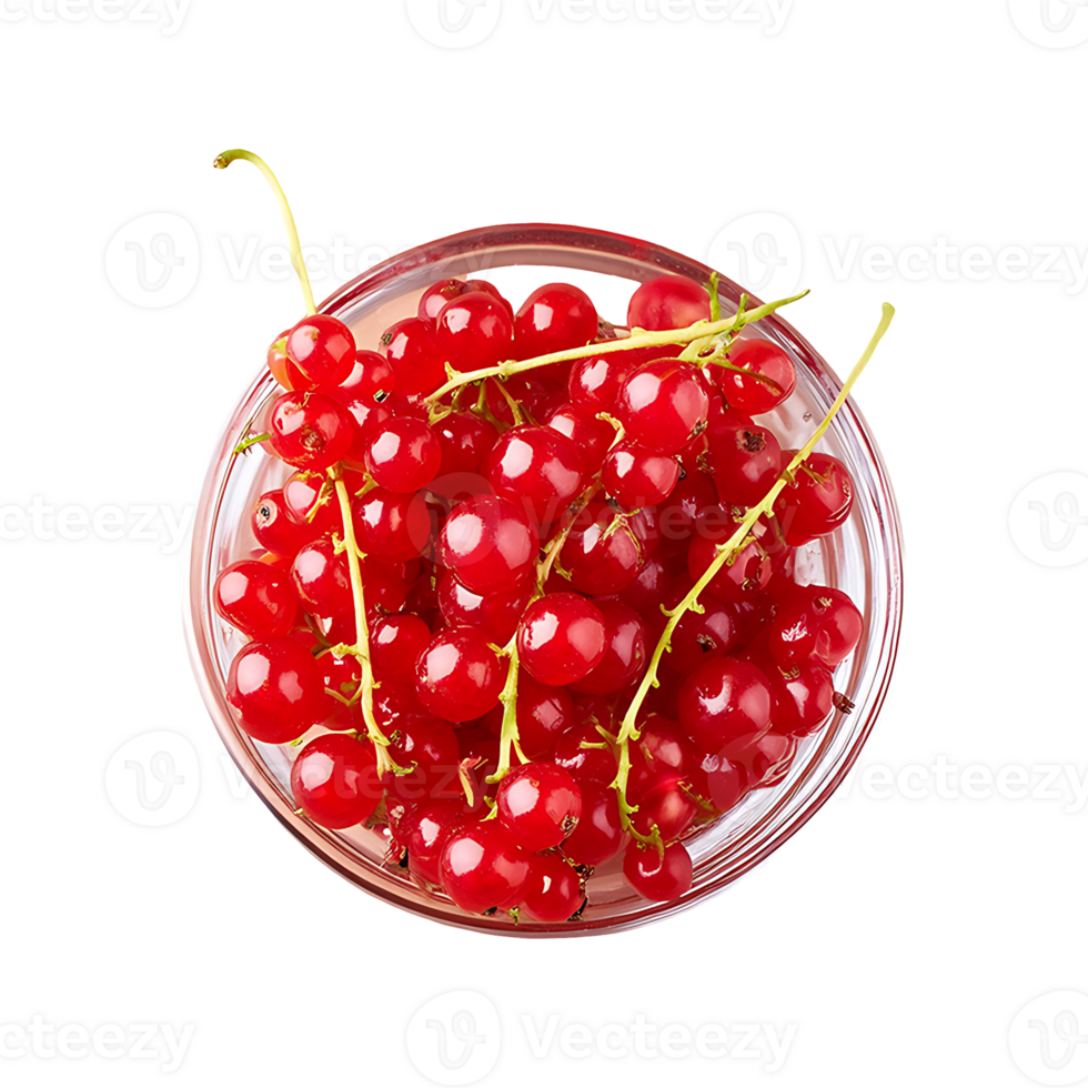 Redcurrant isolated on transparent background png