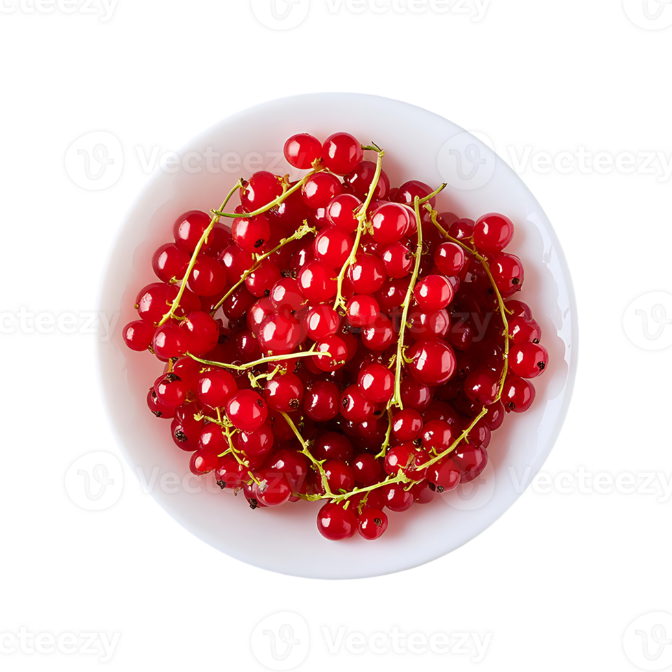 Redcurrant isolated on transparent background png