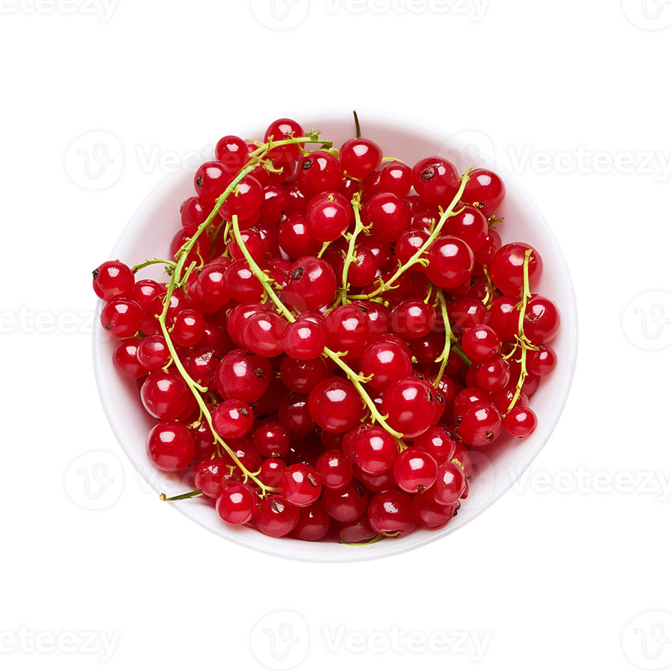 Redcurrant isolated on transparent background png