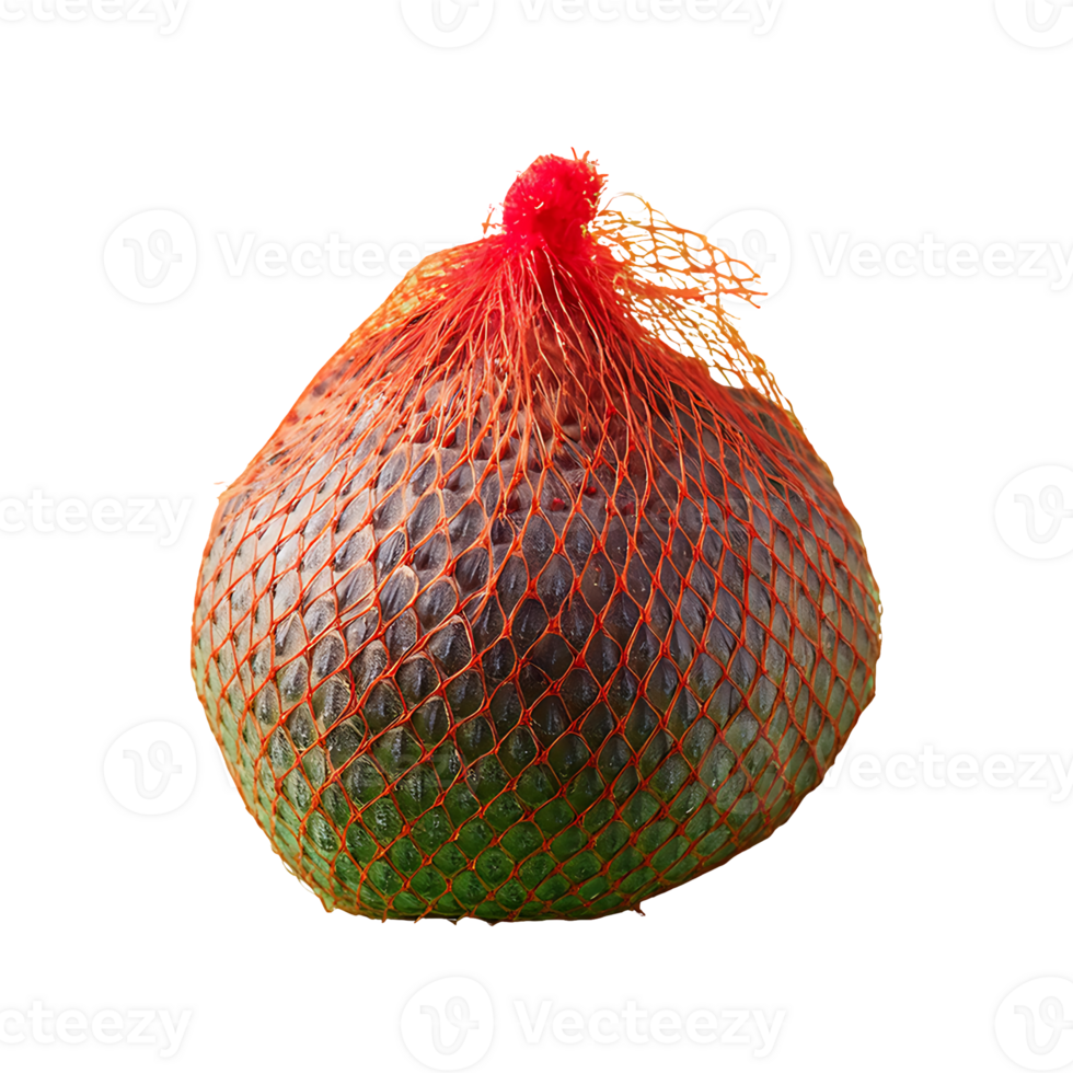 Salak isolated on transparent background png