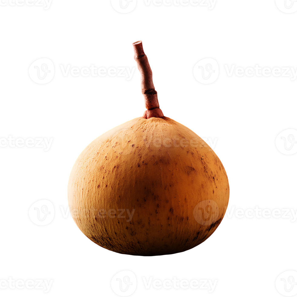 Santol isolated on transparent background png