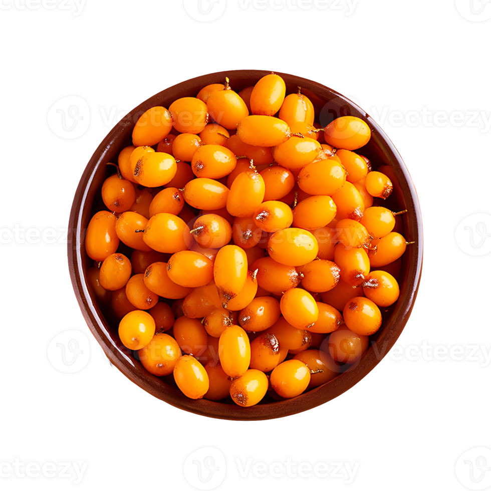 Sea Buckthorn isolated on transparent background png
