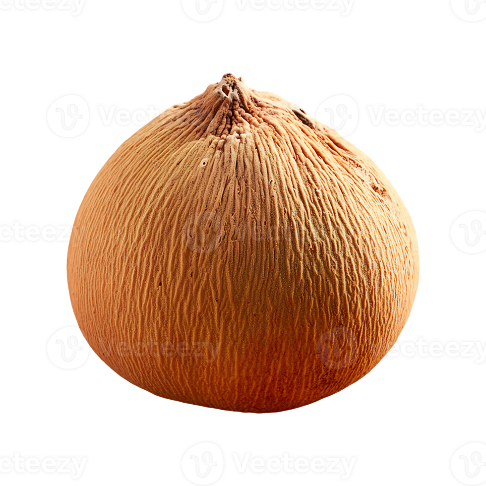 Santol isolated on transparent background png