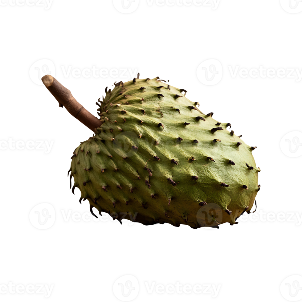 Soursop isolated on transparent background png