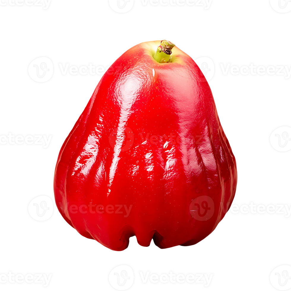 Sorb Apple isolated on transparent background png
