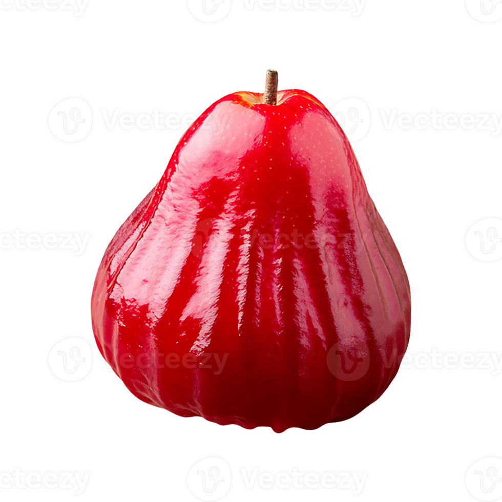 Sorb Apple isolated on transparent background png