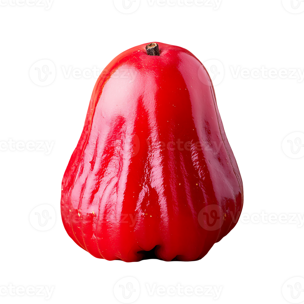 Sorb Apple isolated on transparent background png
