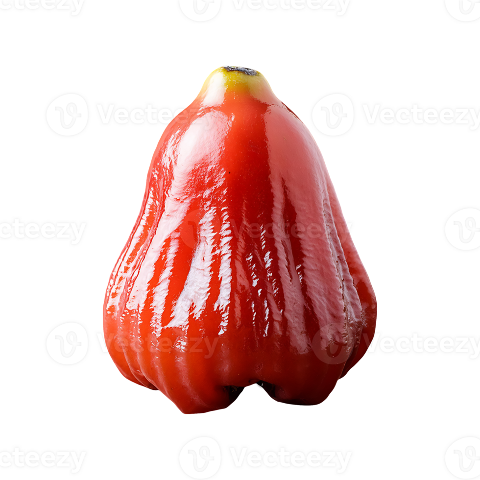 Sorb Apple isolated on transparent background png