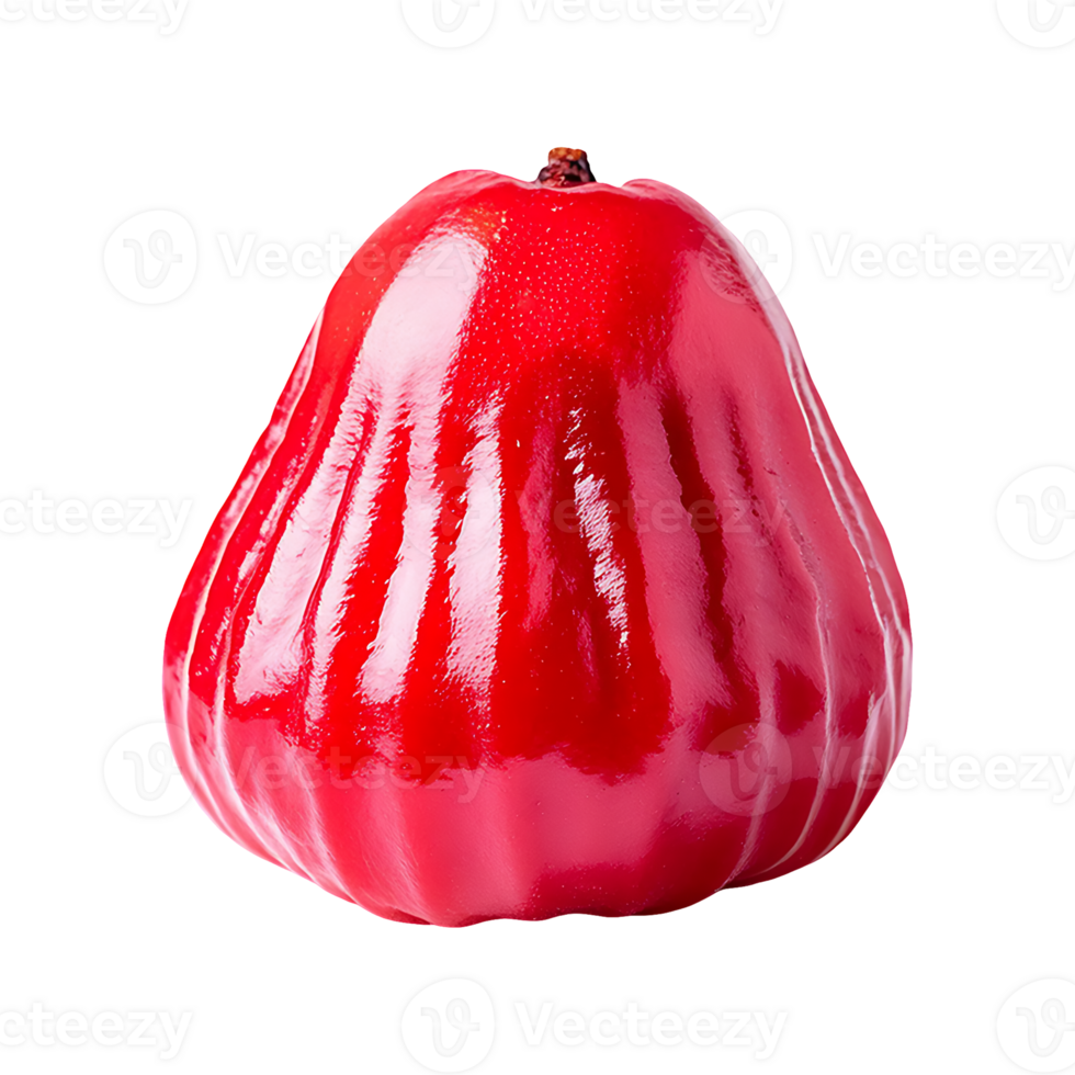Sorb Apple isolated on transparent background png
