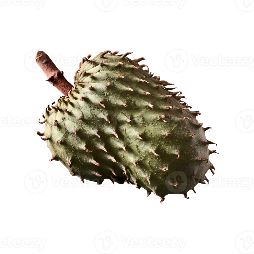 Soursop isolated on transparent background png