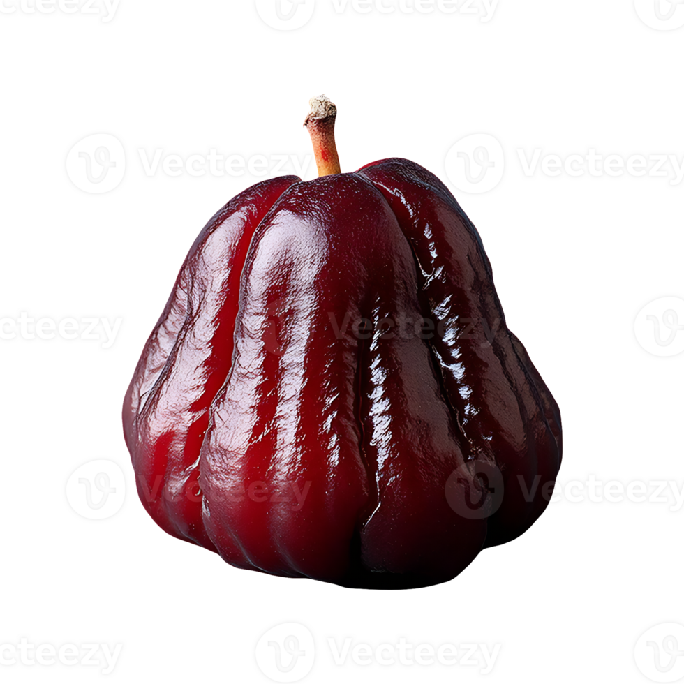 Sorb Apple isolated on transparent background png