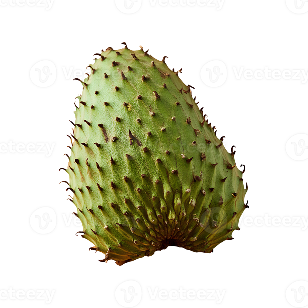 Soursop isolated on transparent background png