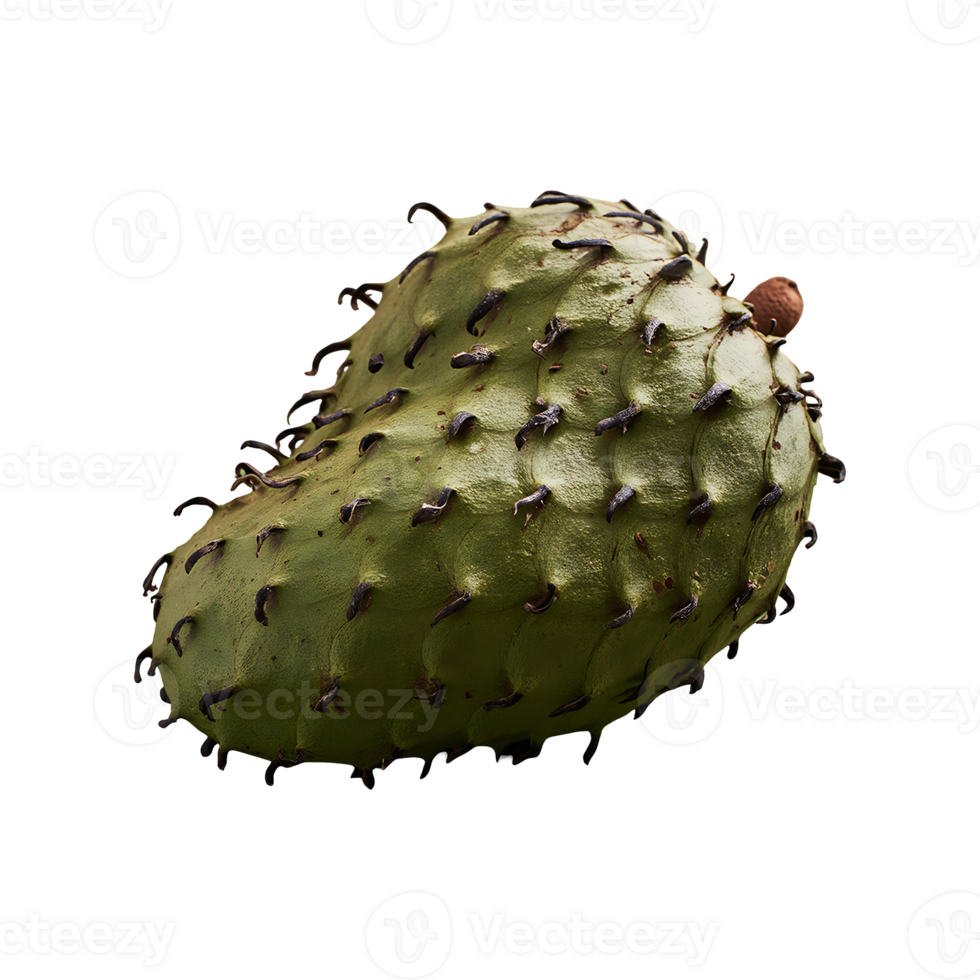 Soursop isolated on transparent background png