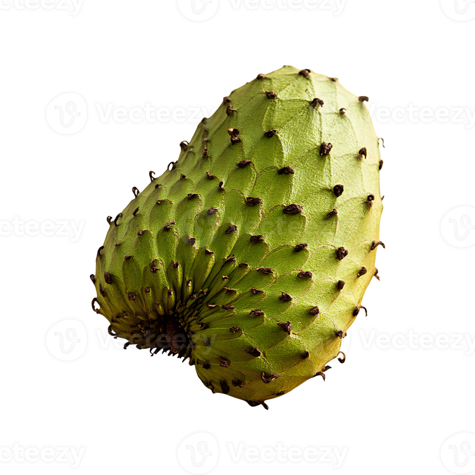 Soursop isolated on transparent background png