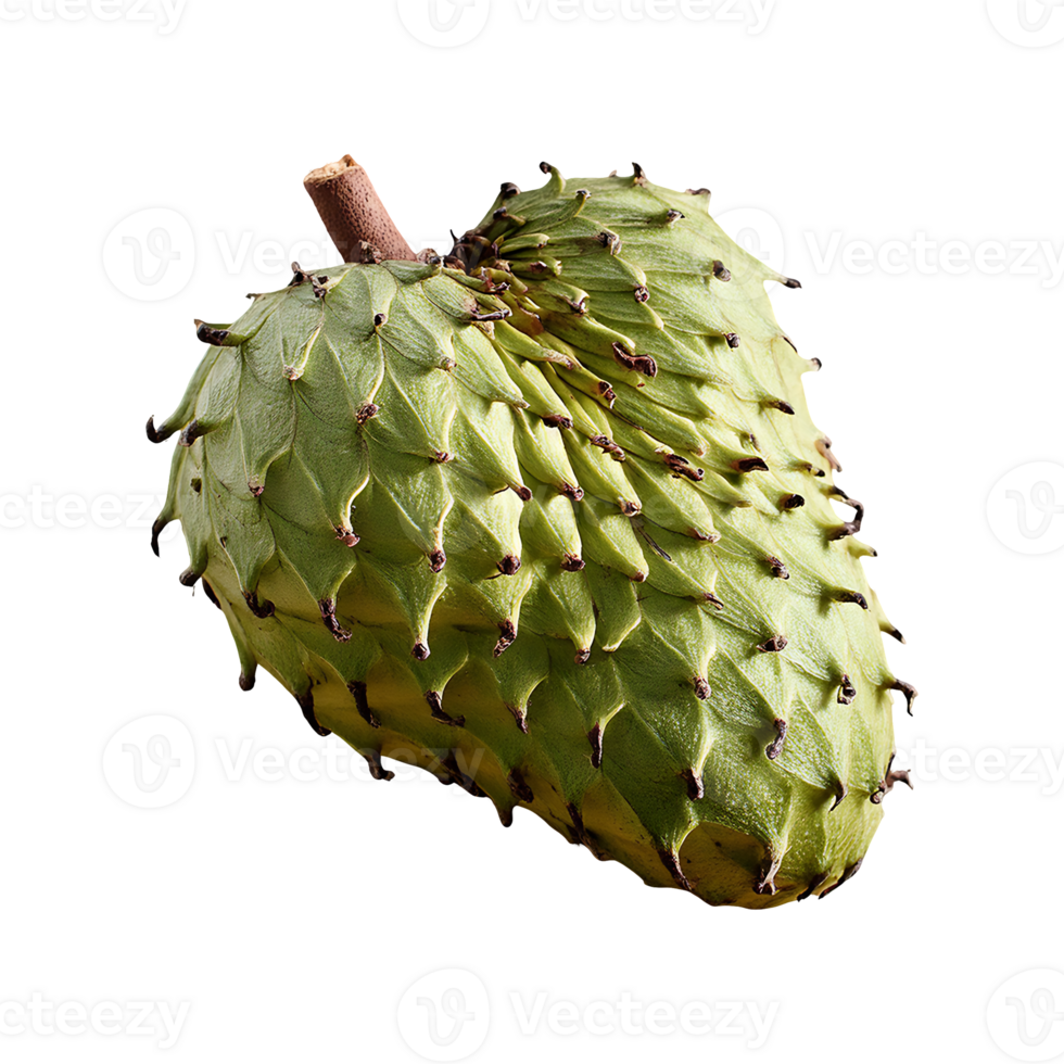 Soursop isolated on transparent background png