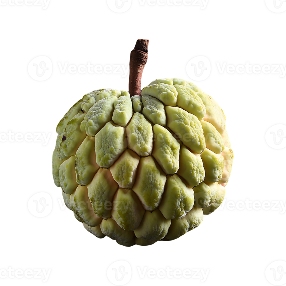Sugar Apple isolated on transparent background png