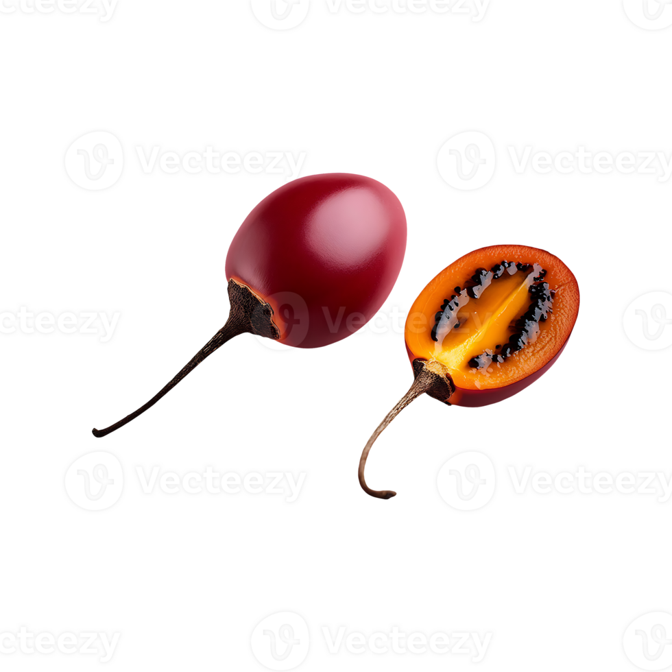 Tamarillo isolated on transparent background png