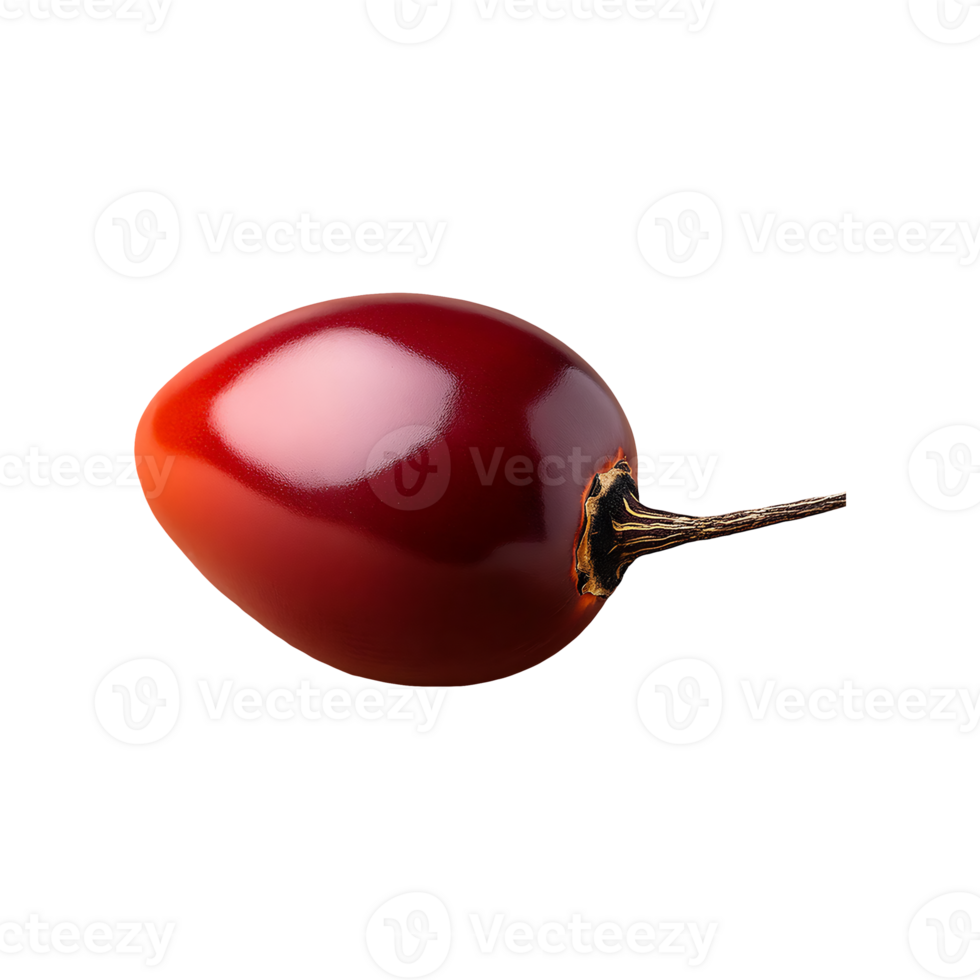 Tamarillo isolated on transparent background png