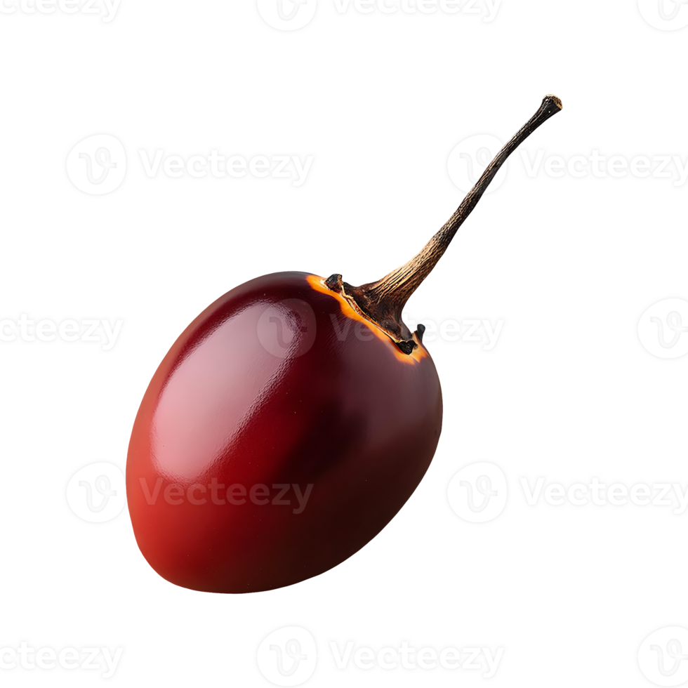 Tamarillo isolated on transparent background png