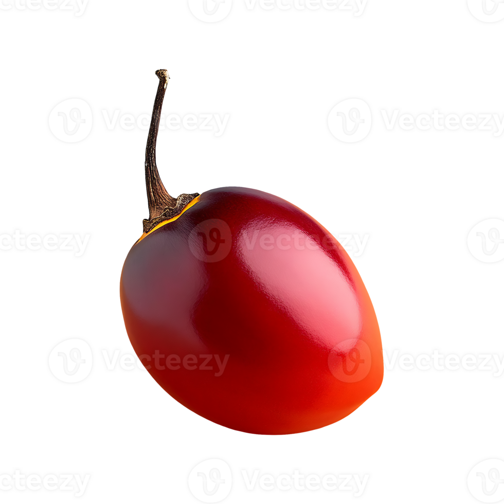 Tamarillo isolated on transparent background png