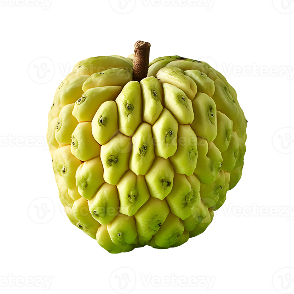 Sugar Apple isolated on transparent background png