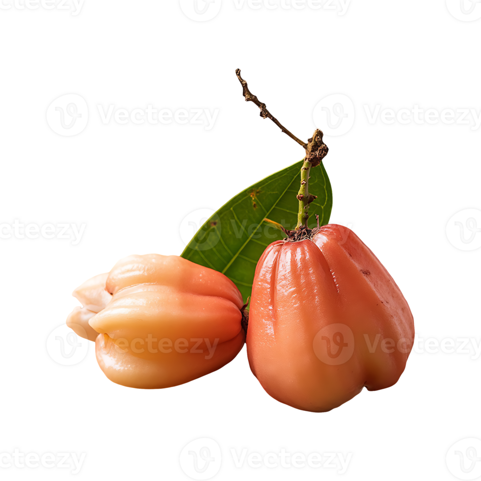Surinam Cherry isolated on transparent background png
